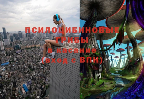 бутират Алексеевка