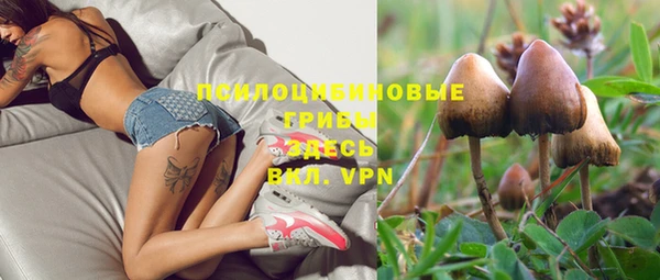 бутират Алексеевка