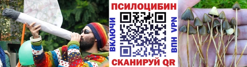 хочу наркоту  Исилькуль  Галлюциногенные грибы ЛСД 